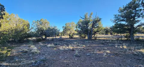 Exterior - 0 Cattle Dr, Ash Fork, AZ 86320 photo 13 of 17