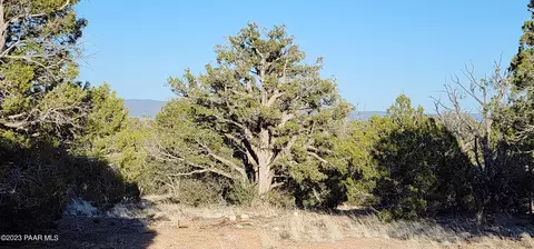View/Area - 0 Cattle Dr, Ash Fork, AZ 86320 photo 3 of 9