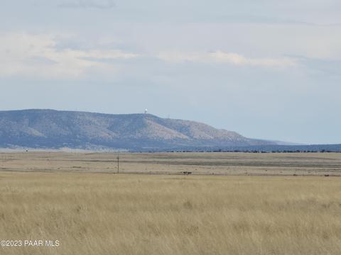 000 Lot 20 Antelope Valley Rnch, Seligman, AZ 86337