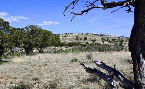 3672 W Singletree Rd, Williams, AZ 86046