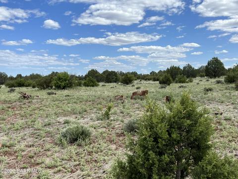 72 Bowling Ln # b, Ash Fork, AZ 86320 photo 8