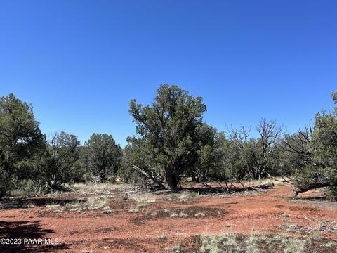 224 Rocky Rd # c, Ash Fork, AZ 86320 photo 3