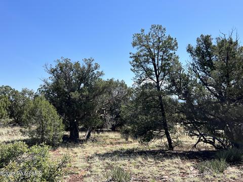 224 Rocky Rd # c, Ash Fork, AZ 86320 photo 11
