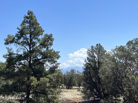224 Rocky Rd # c, Ash Fork, AZ 86320
