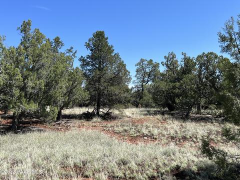224 Rocky Rd # c, Ash Fork, AZ 86320 photo 8