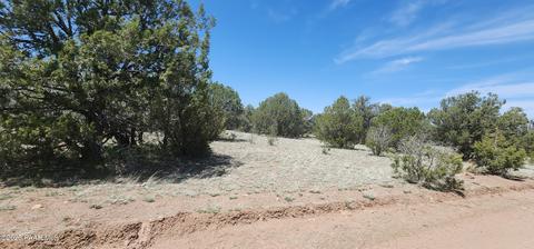 703 N Edwards Rnch Rd, Ash Fork, AZ 86320 photo 2