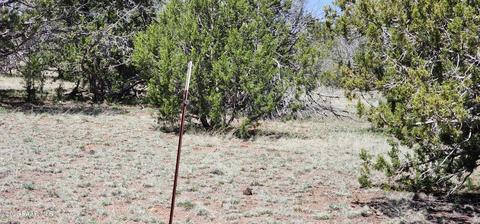 703 N Edwards Rnch Rd, Ash Fork, AZ 86320 photo 12