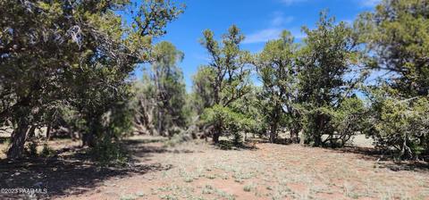 703 N Edwards Rnch Rd, Ash Fork, AZ 86320 photo 11
