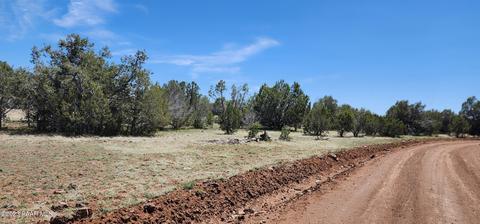 703 N Edwards Rnch Rd, Ash Fork, AZ 86320 photo 5
