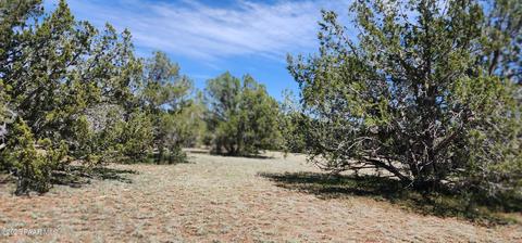 703 N Edwards Rnch Rd, Ash Fork, AZ 86320 photo 4