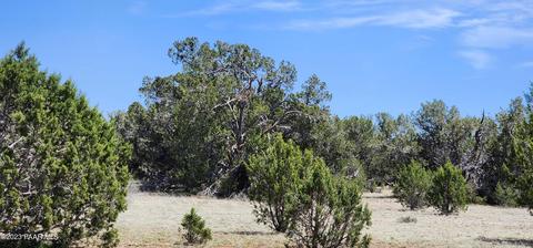 703 N Edwards Rnch Rd, Ash Fork, AZ 86320 photo 9