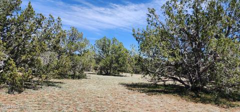 703 N Edwards Rnch Rd, Ash Fork, AZ 86320 photo 3