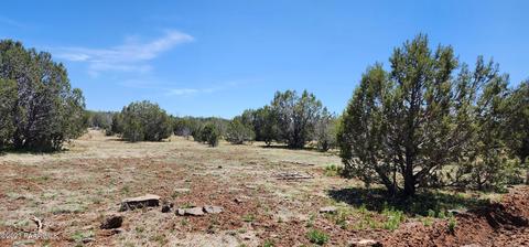 703 N Edwards Rnch Rd, Ash Fork, AZ 86320 photo 7