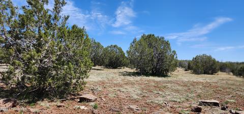 703 N Edwards Rnch Rd, Ash Fork, AZ 86320 photo 6