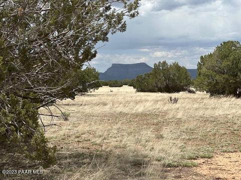00 W Gadsden Flag Way, Seligman, AZ 86337