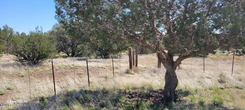 1423 W Canyon Rd, Ash Fork, AZ 86320