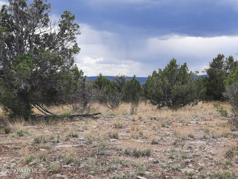 53584 N Juniper Way, Seligman, AZ 86337