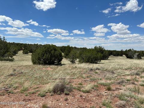 56532 N La Carro Ln, Seligman, AZ 86337