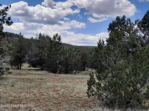 44700 N Caruso Way, Seligman, AZ 86337