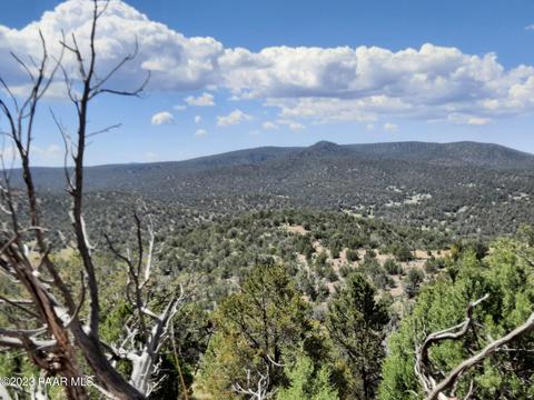 Lot 231 W Honey Bear St, Seligman, AZ 86337
