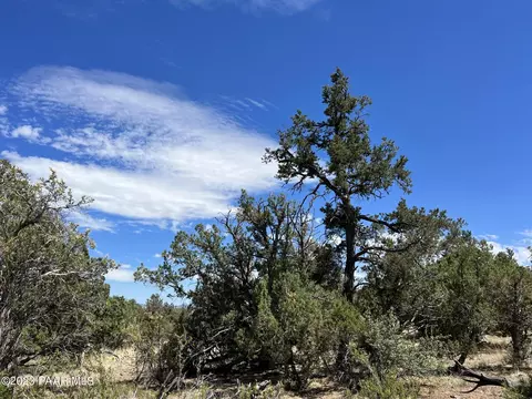 43399 N Rancheria Rd, Seligman, AZ 86337