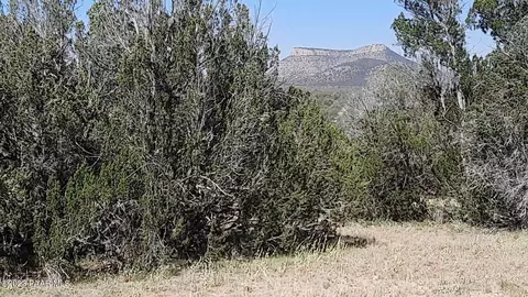 Lot 309 Trout Creek Trail, Seligman, AZ 86337