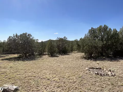 42745 N Lakota Way, Seligman, AZ 86337