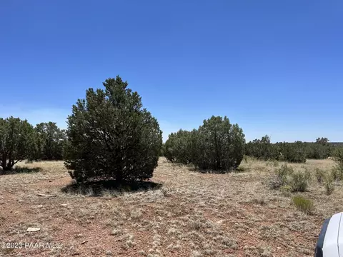 421 Hard Rock Way, Seligman, AZ 86337