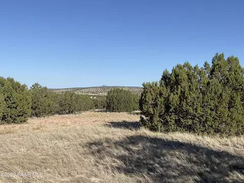 54320 N Quail Run Rd, Seligman, AZ 86337