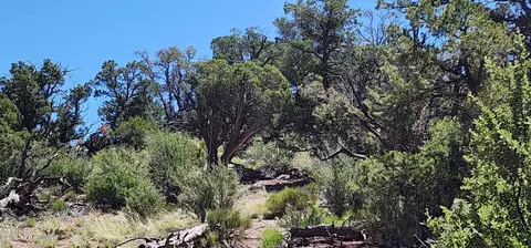 197 Veterans Trl, Ash Fork, AZ 86320