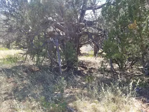 Lot 5a Big Moon, Ash Fork, AZ 86320 photo 8