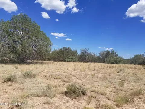 Lot 5a Big Moon, Ash Fork, AZ 86320 photo 3