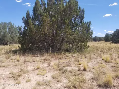 Lot 5a Big Moon, Ash Fork, AZ 86320 photo 2