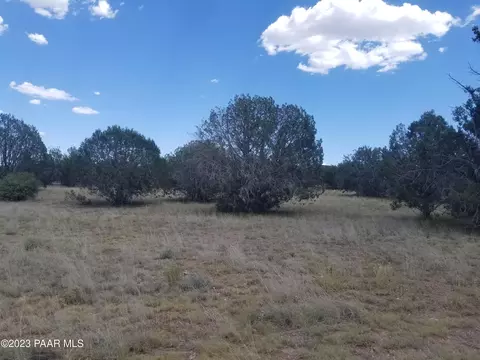 Lot 5a Big Moon, Ash Fork, AZ 86320 photo 5
