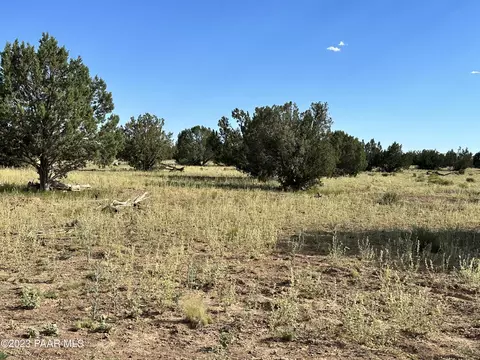73 Off Of Java # a, Ash Fork, AZ 86320 photo 10
