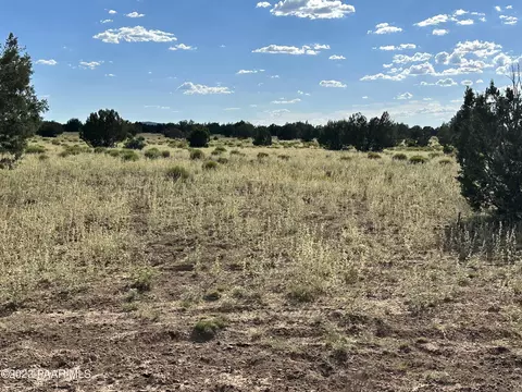 73 Off Of Java # a, Ash Fork, AZ 86320 photo 11