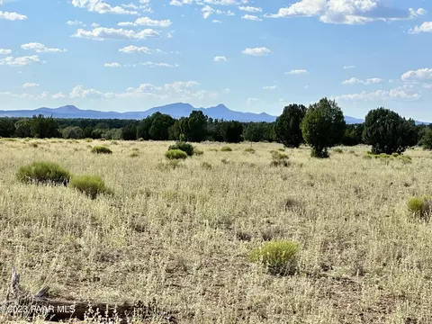 73 Off Of Java # a, Ash Fork, AZ 86320 photo 8