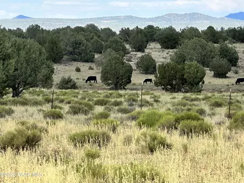 73 Off Of Java # a, Ash Fork, AZ 86320