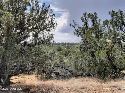 lot1177 Shadow Mountain Pkwy, Seligman, AZ 86337