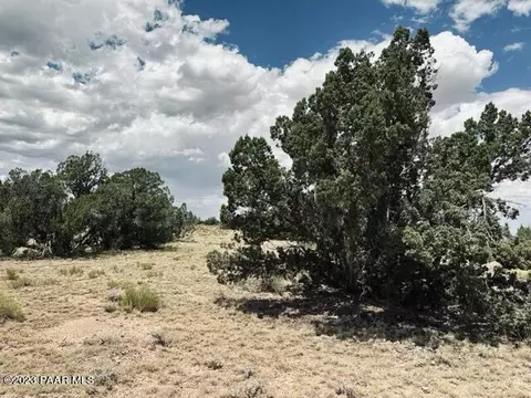 9549 W Bright Sky Apt B Trl, Williams, AZ 86046