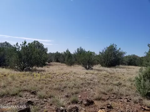 248 Off Indigo, Ash Fork, AZ 86320 photo 4