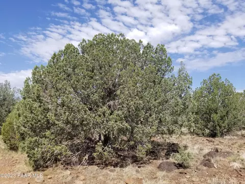 248 Off Indigo, Ash Fork, AZ 86320 photo 3