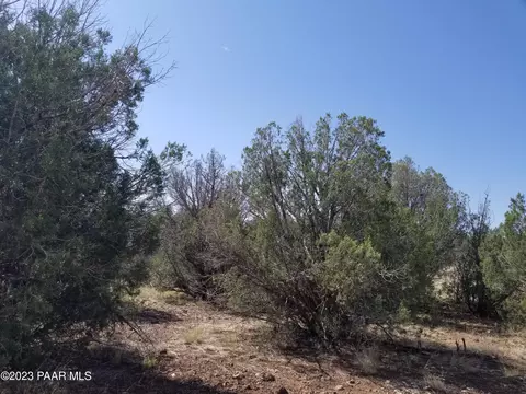 248 Off Indigo, Ash Fork, AZ 86320 photo 5