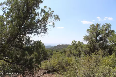 970971 Sierra Verde Rnch, Seligman, AZ 86337