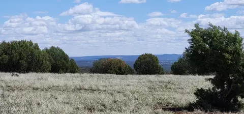 12 Juniperwood Rnch # d, Ash Fork, AZ 86320