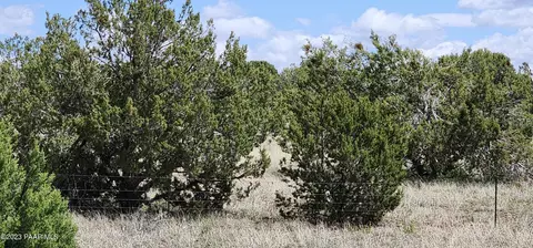 12 Juniperwood Rnch # C, Ash Fork, AZ 86320 photo 7
