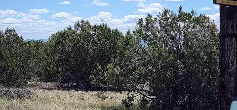 12 Juniperwood Rnch # C, Ash Fork, AZ 86320 photo 4