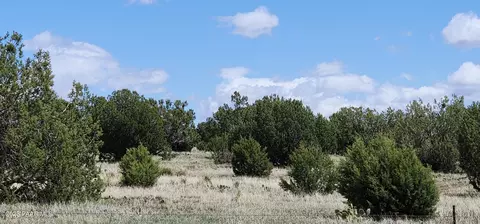 12 Juniperwood Rnch # C, Ash Fork, AZ 86320 photo 8