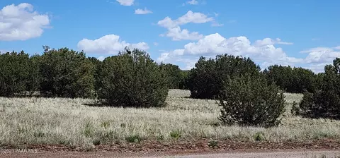12 Juniperwood Rnch # C, Ash Fork, AZ 86320 photo 5