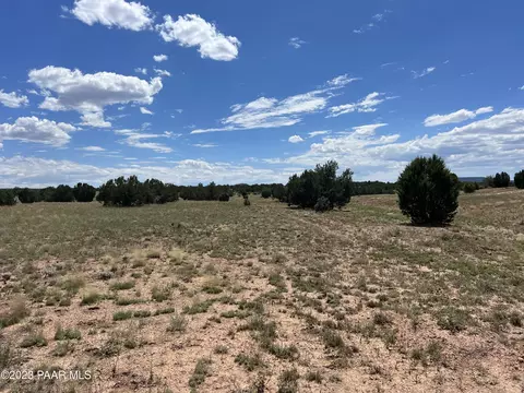 11 Chain Ranch Rd, Ash Fork, AZ 86320 photo 3